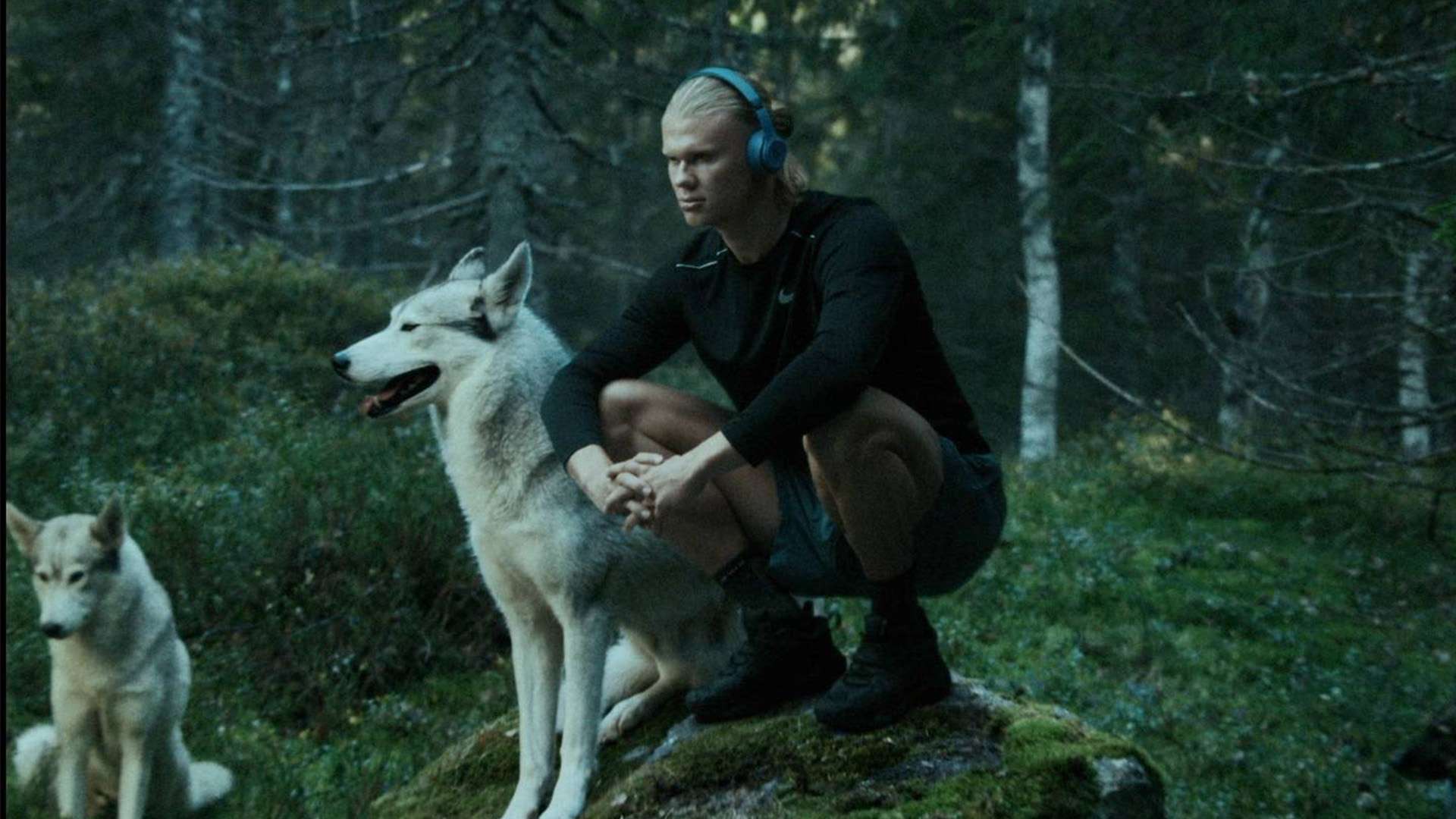 们的呐喊和 们的呐喊和