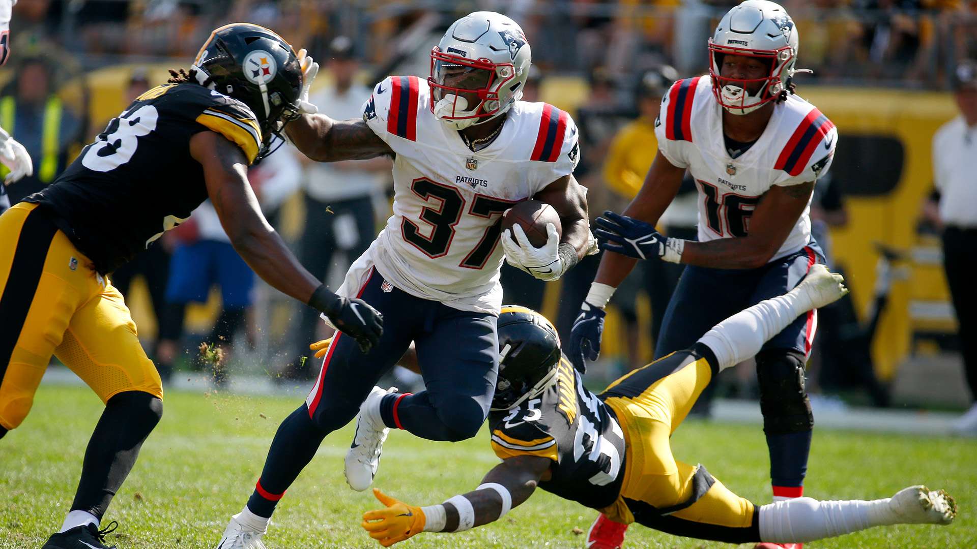 击手不仅具 击手不仅具